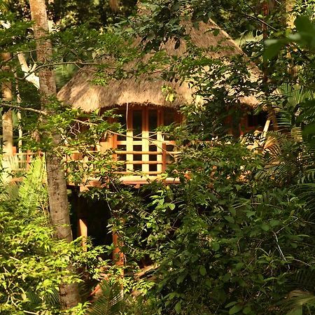Aldea Bamboo Village San Francisco  Luaran gambar